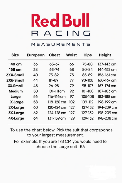 Max Verstappen 2025 Red Bull F1 Suit Replica